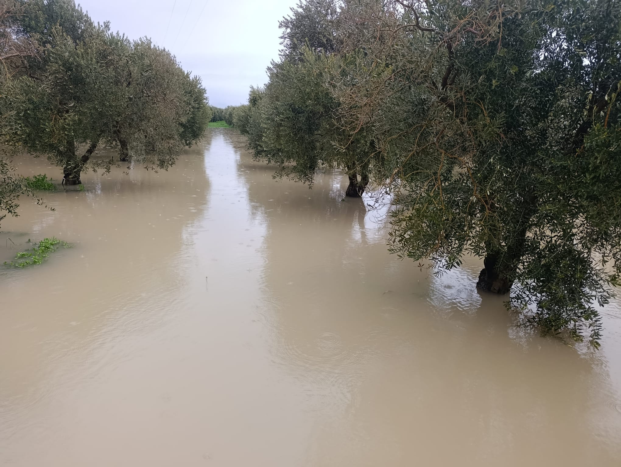 631579280 1399319845574000 8974812381148898149 N