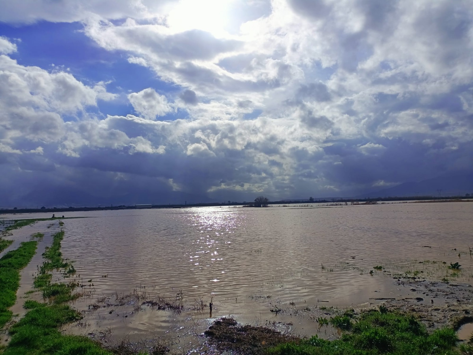 631672400 1399319438907374 7967553295043475436 N