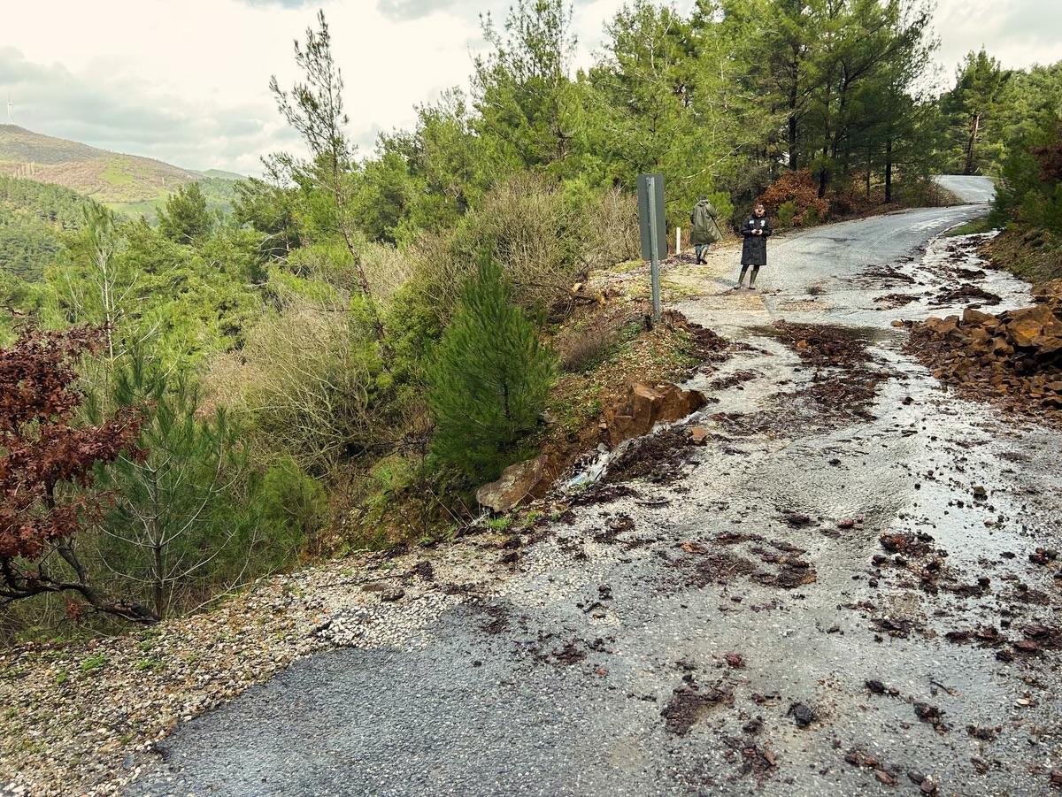 632057792 18558413278050383 7053260182980901743 N