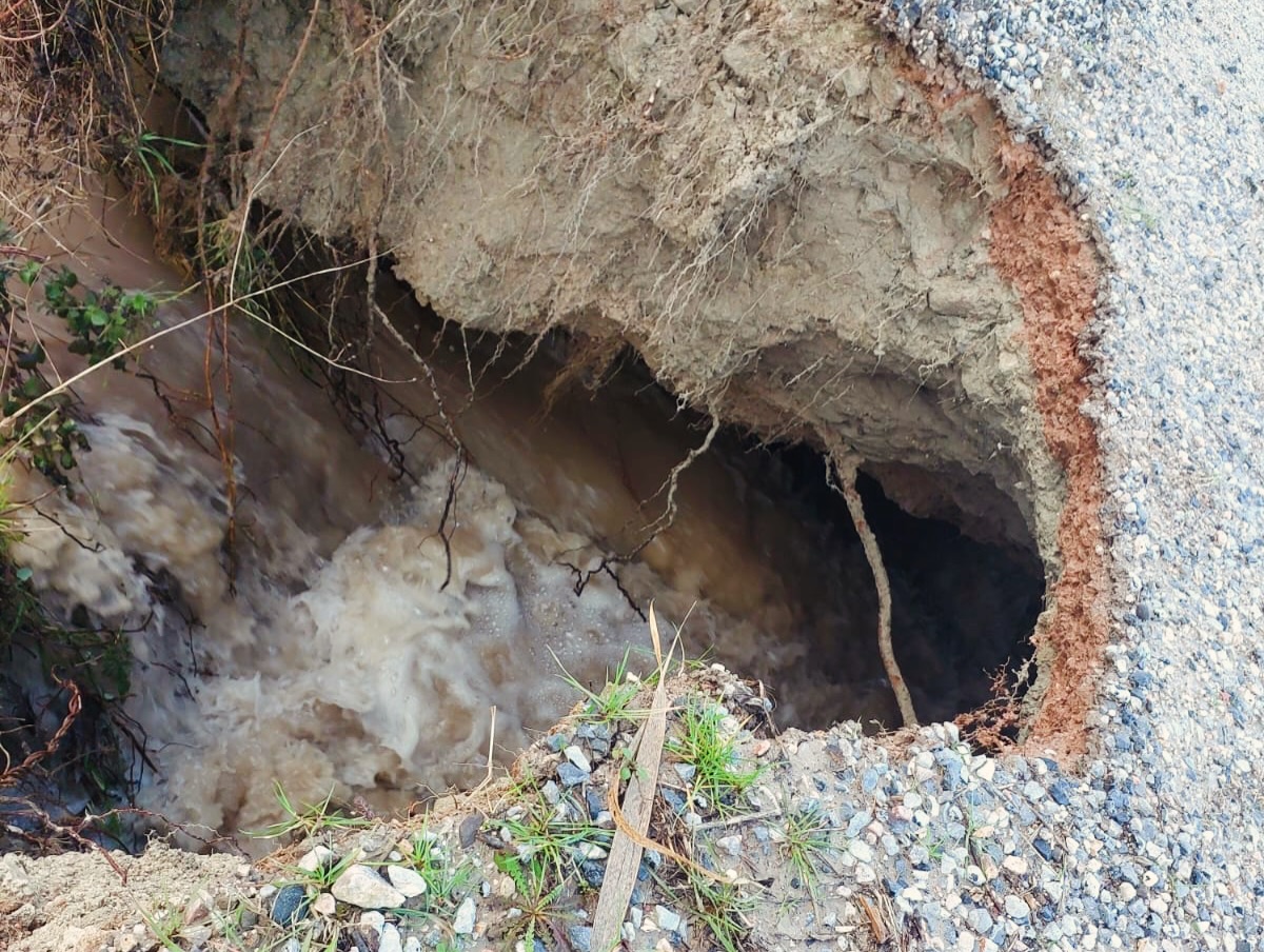 632140533 18558413311050383 3155474557367536242 N