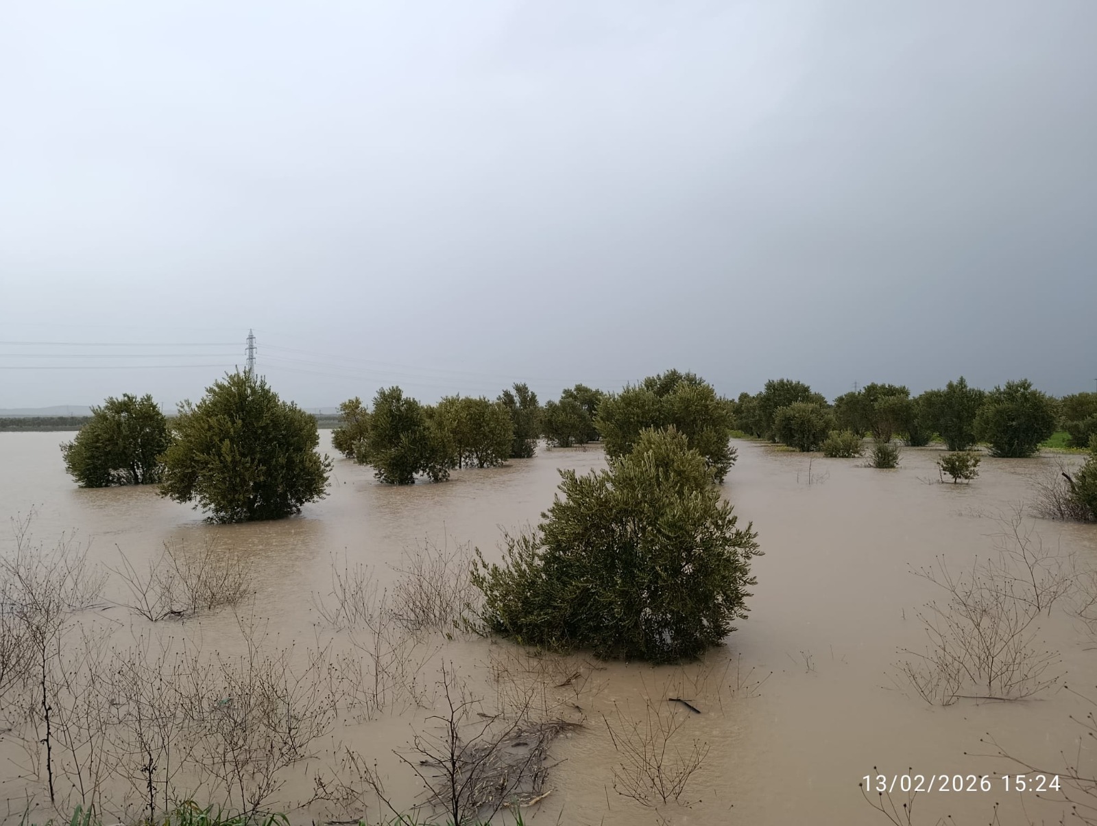 632485021 1399320052240646 6968817972608850376 N