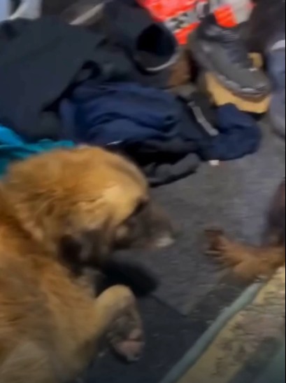 Ekran Görüntüsü 2026 02 19 142816