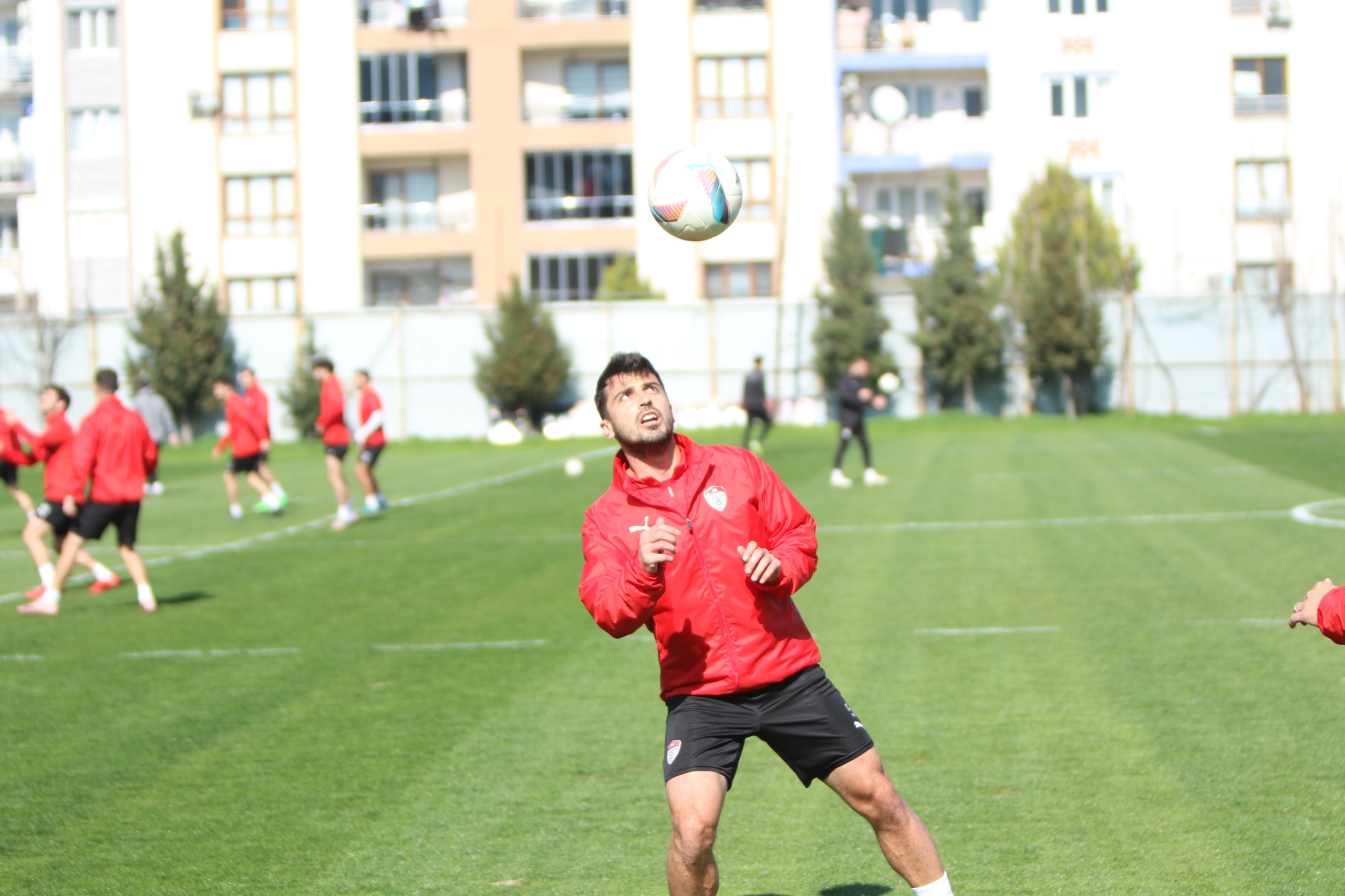 Whatsapp Image 2026 02 19 At 16.11.13