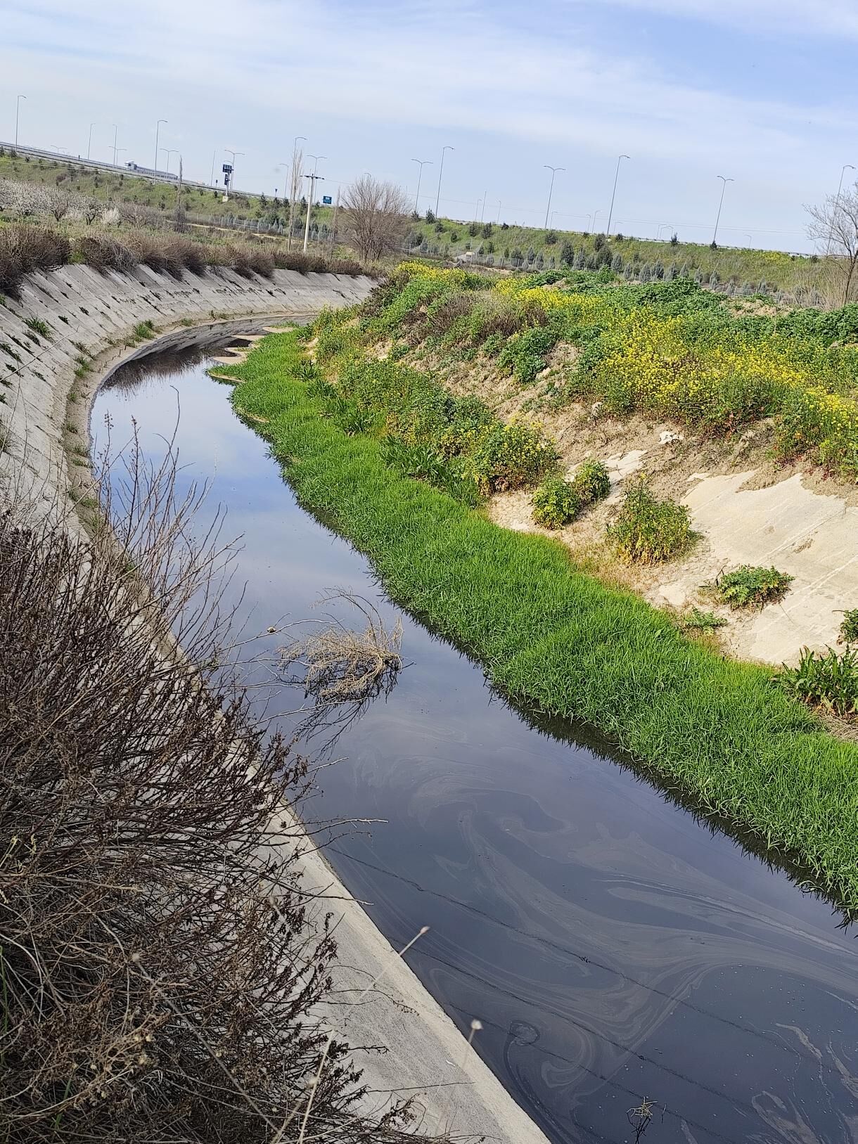 643848820 1249657609979717 980259947923178349 N (1)