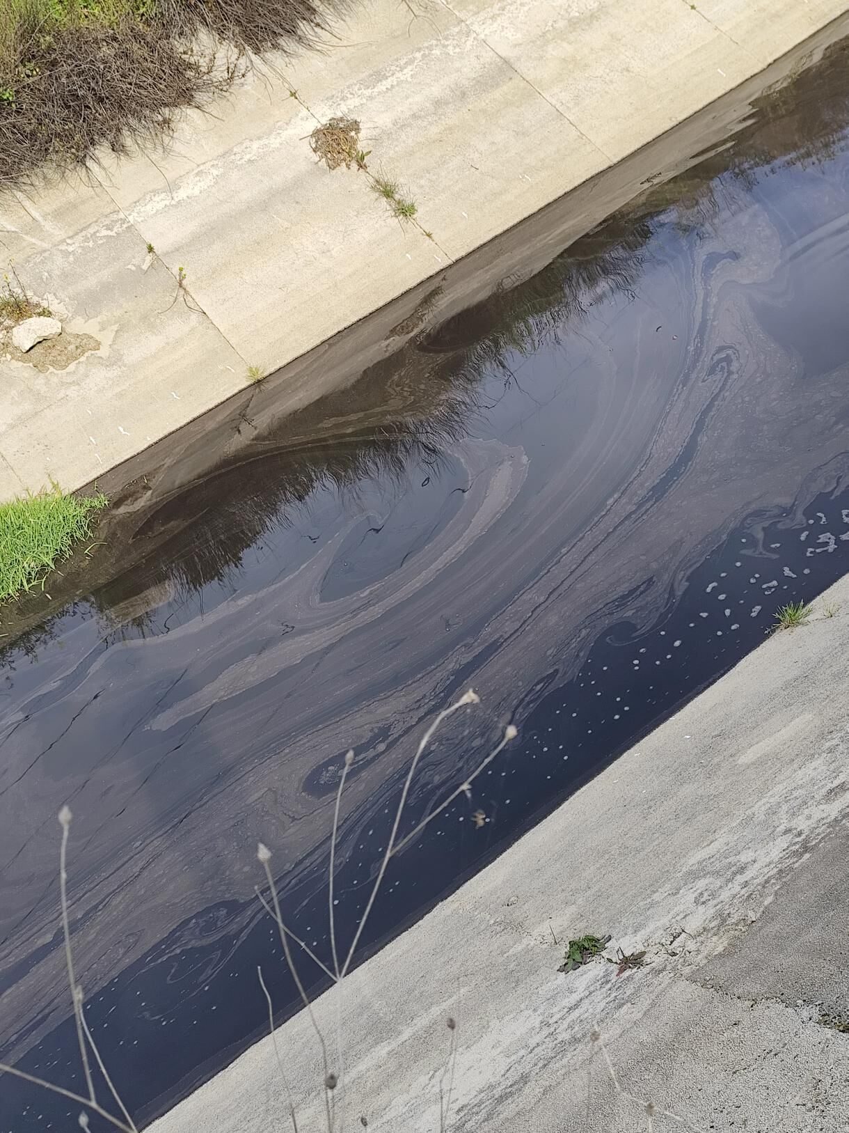 645263221 1317826123496499 3642696430980282035 N