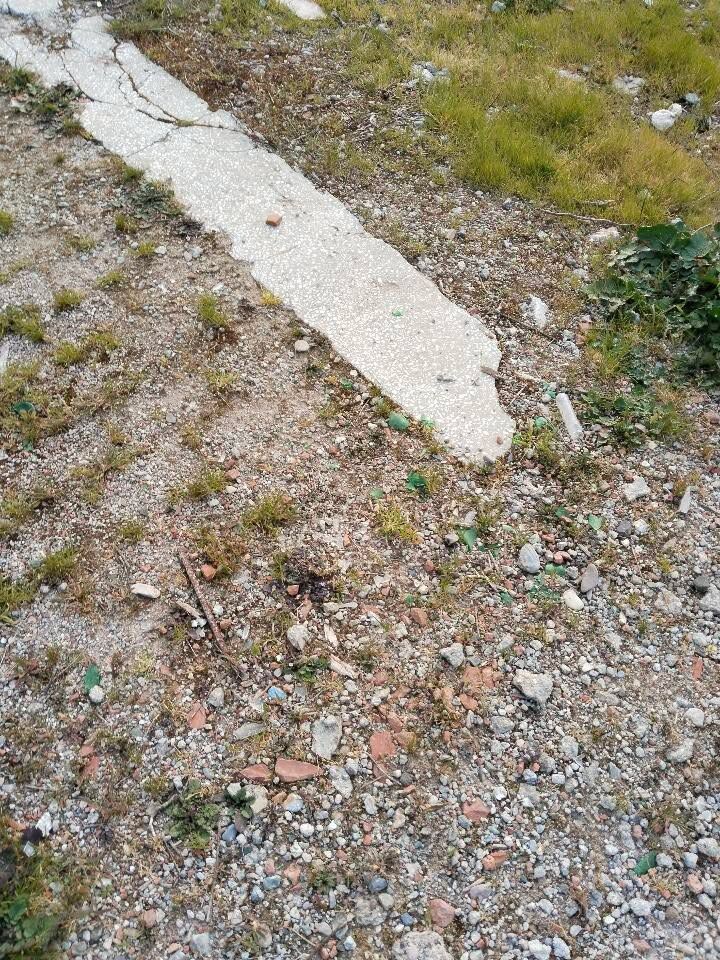 646324783 1274456944634971 8744037193498333718 N