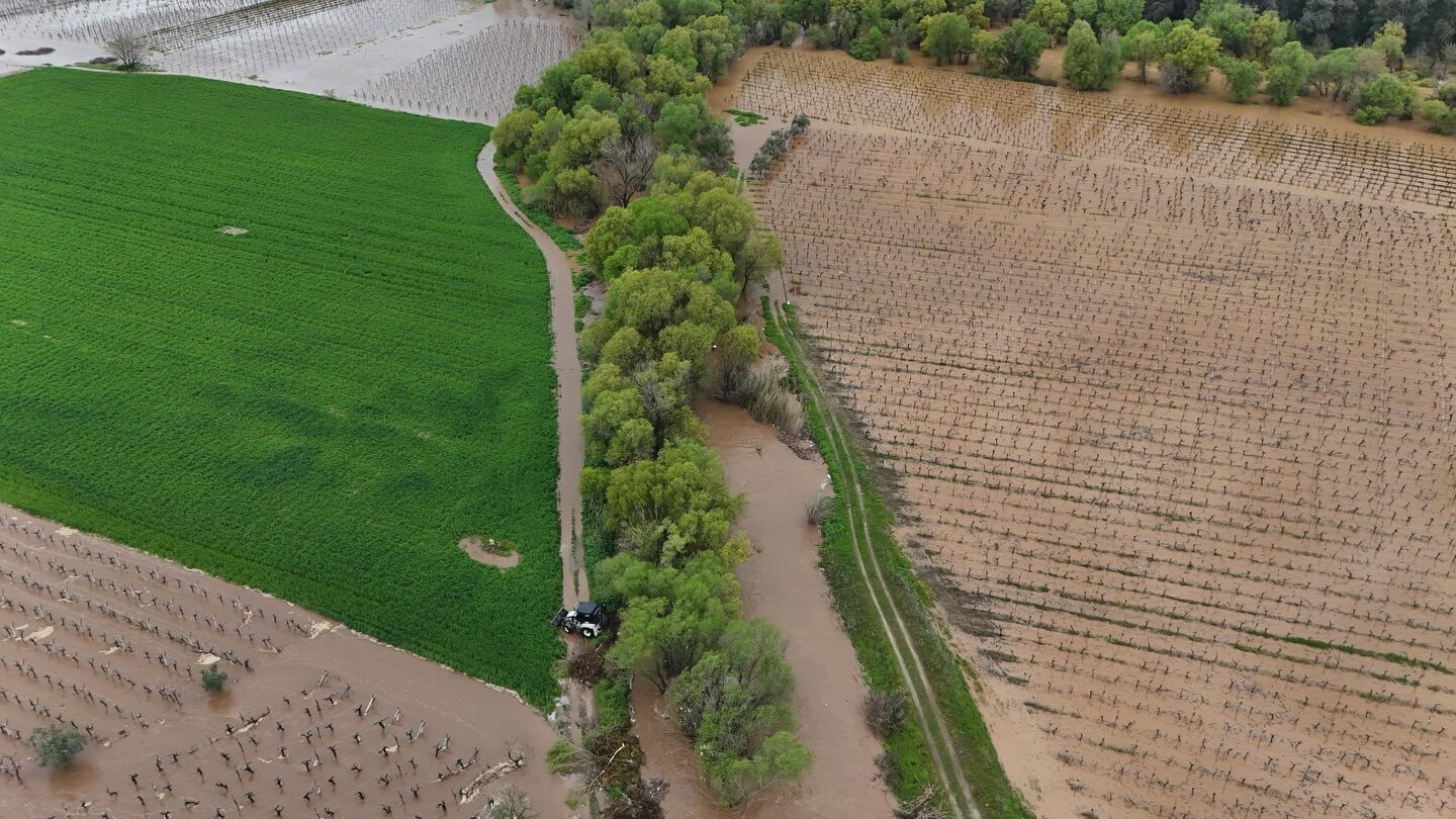 656017479 18445660525115127 6909803353175695712 N