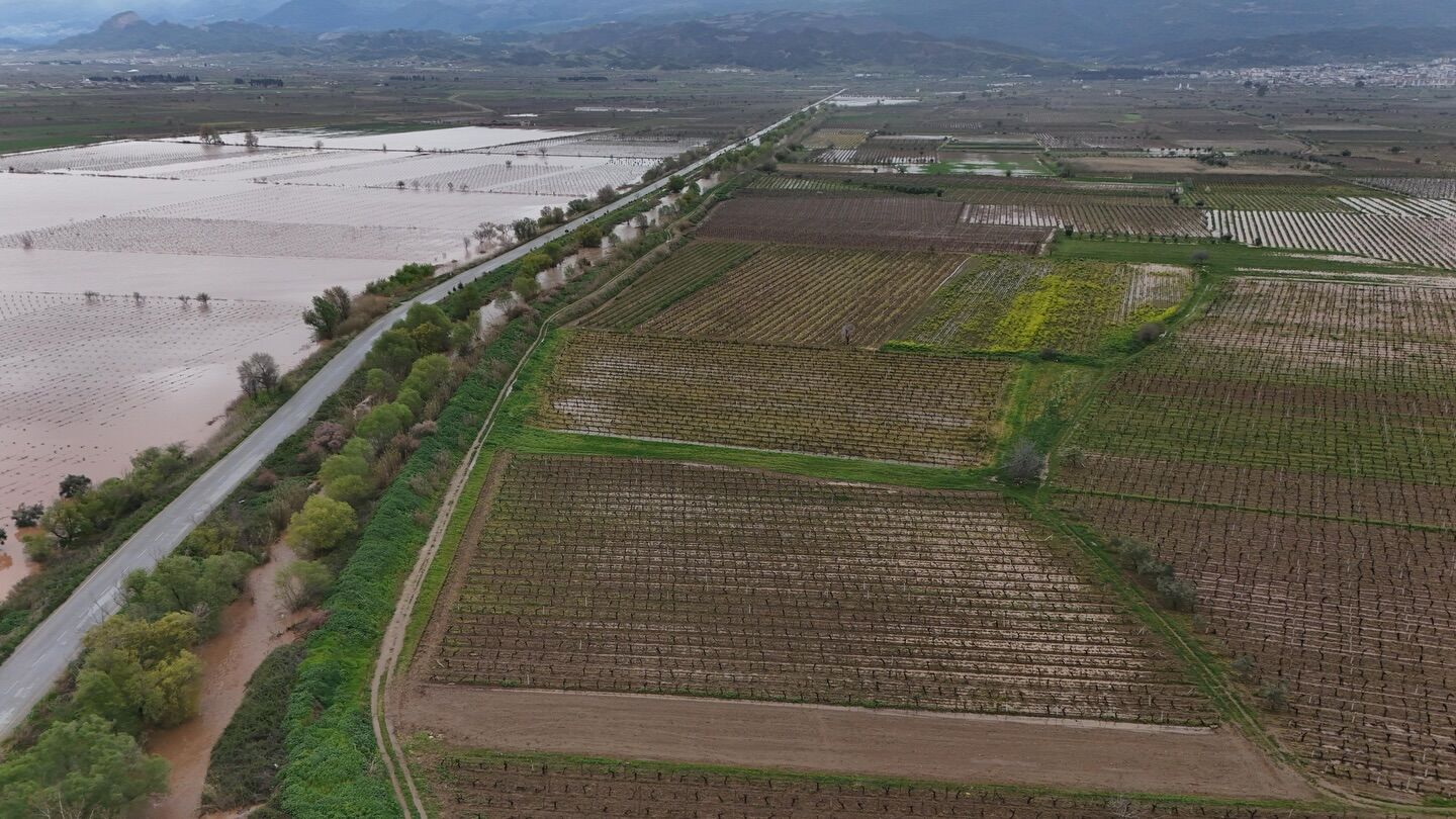 656718222 18445660534115127 5400539404977578514 N (1)