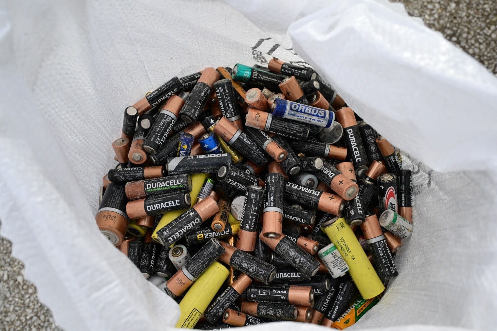 Atık Piller Toplanıyor, Fidanlar Toprakla Buluşuyor (25)