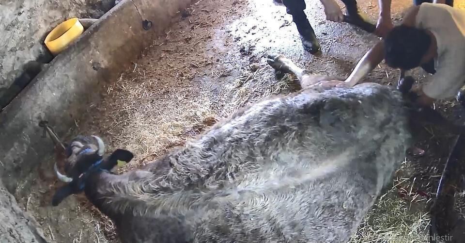 Whatsapp Image 2026 03 02 At 16.10.15