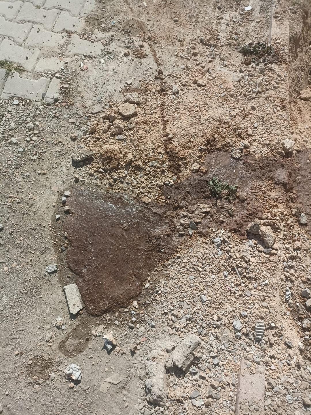 Whatsapp Image 2026 03 16 At 19.03.03 (5)