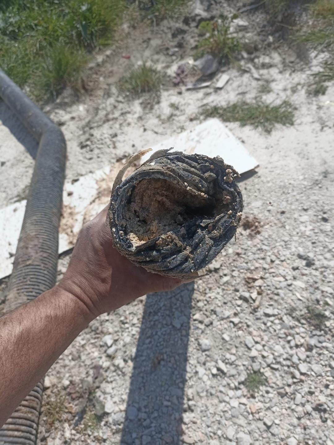 Whatsapp Image 2026 03 16 At 19.03.03 (6)