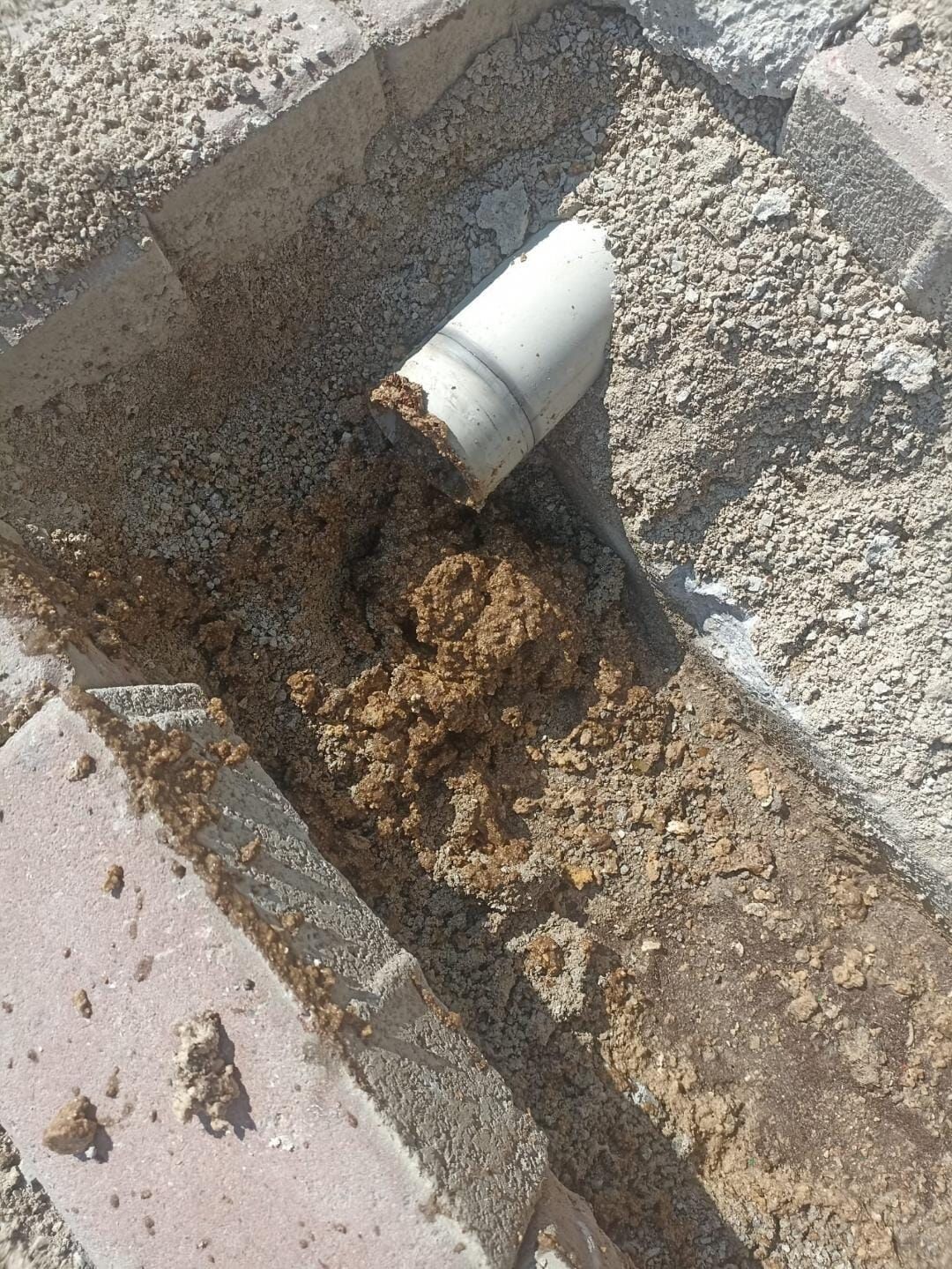 Whatsapp Image 2026 03 16 At 19.03.03